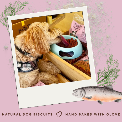 Grain-Free Salmon & Dill Mini-Paws
