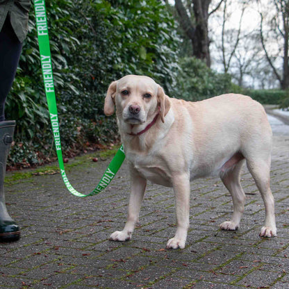 Awareness Training & Safety Dog lead 1.5m  'FRIENDLY'