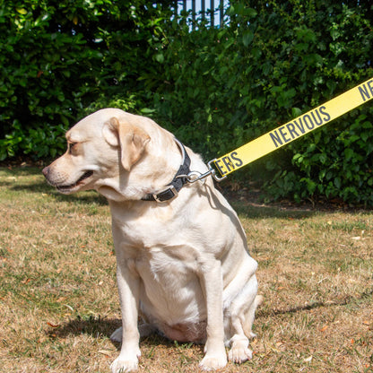 Awareness Training & Safety Dog lead 1.5m  'Hi-Vis NERVOUS': Red Caution