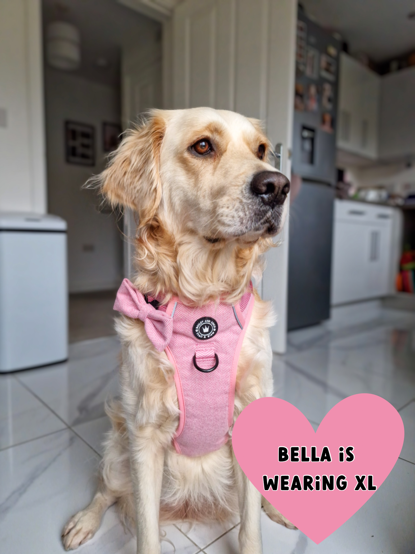 TRAIL & GLOW® DOG HARNESS - BUBBLEGUM PINK TWEED: Large