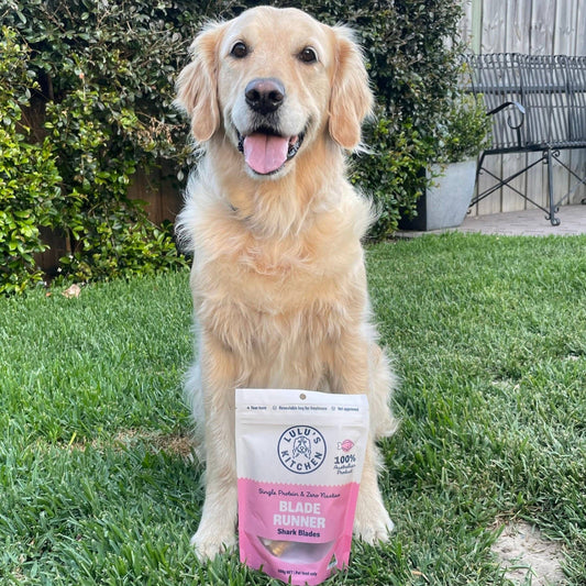 Blade Runner - Shark Blade: 100g