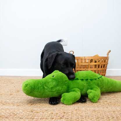 Playtime For Dogs Supersized 80cm Cuddle Giant Croc