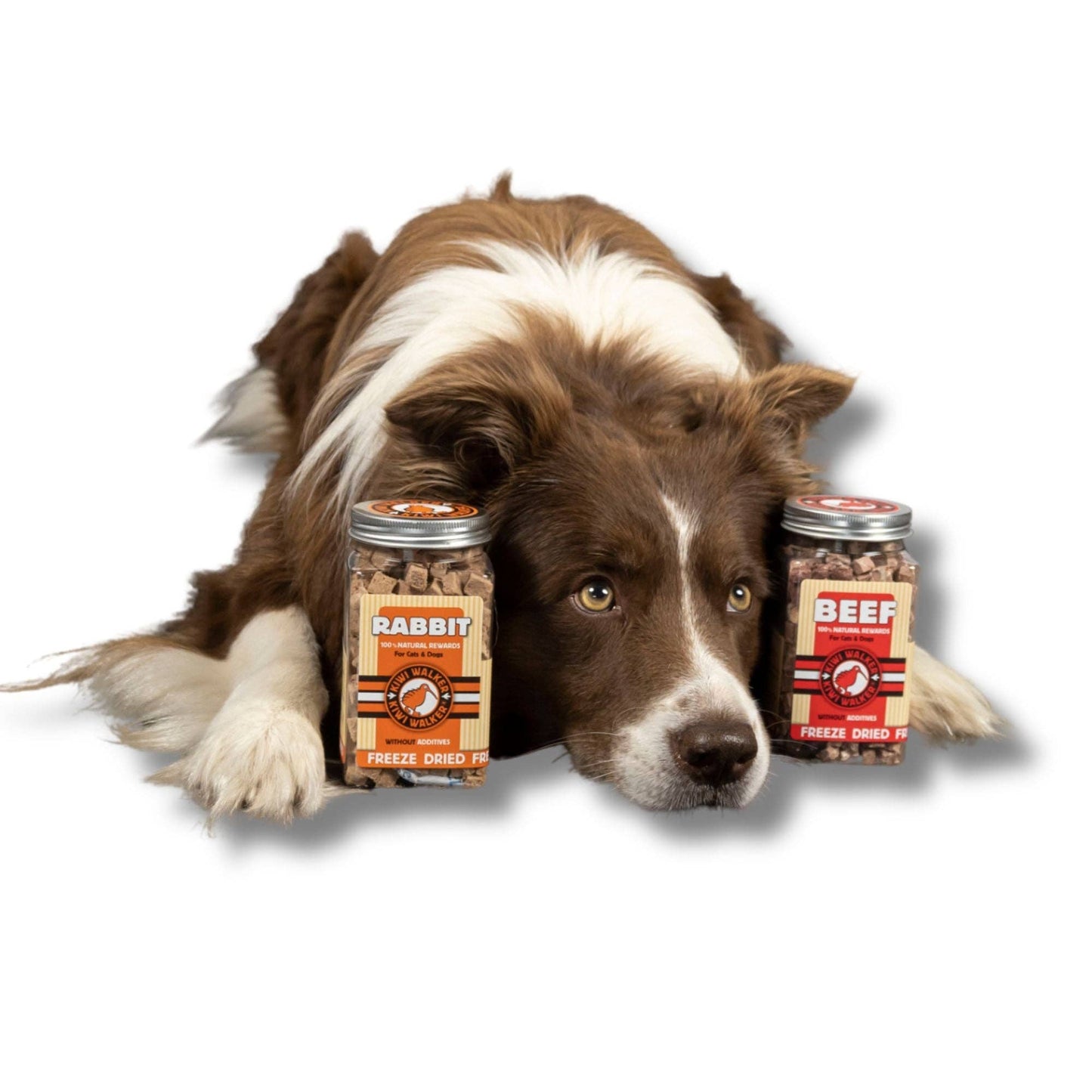 KIWI Walker Dog Treats Freeze Dried Meat & Chicken : Lamb 90g