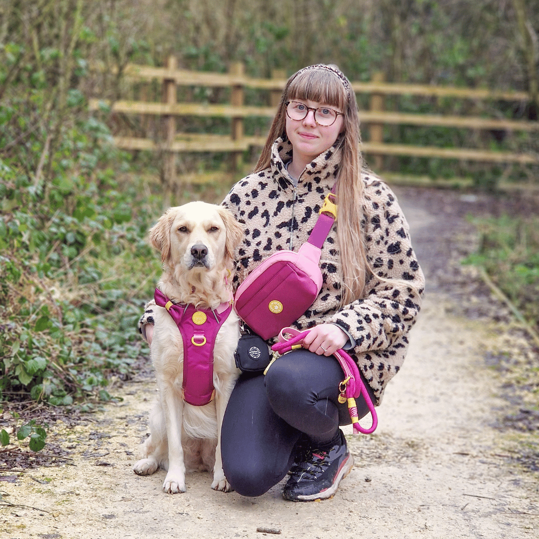 Rope Dog Lead COLOUR DROPS® - We're Jammin'