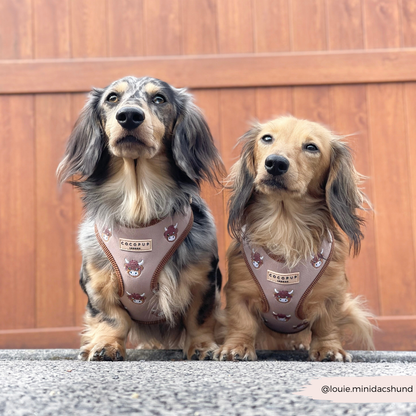 Harold the Highland Cow Adjustable Neck HARNESS: XXS