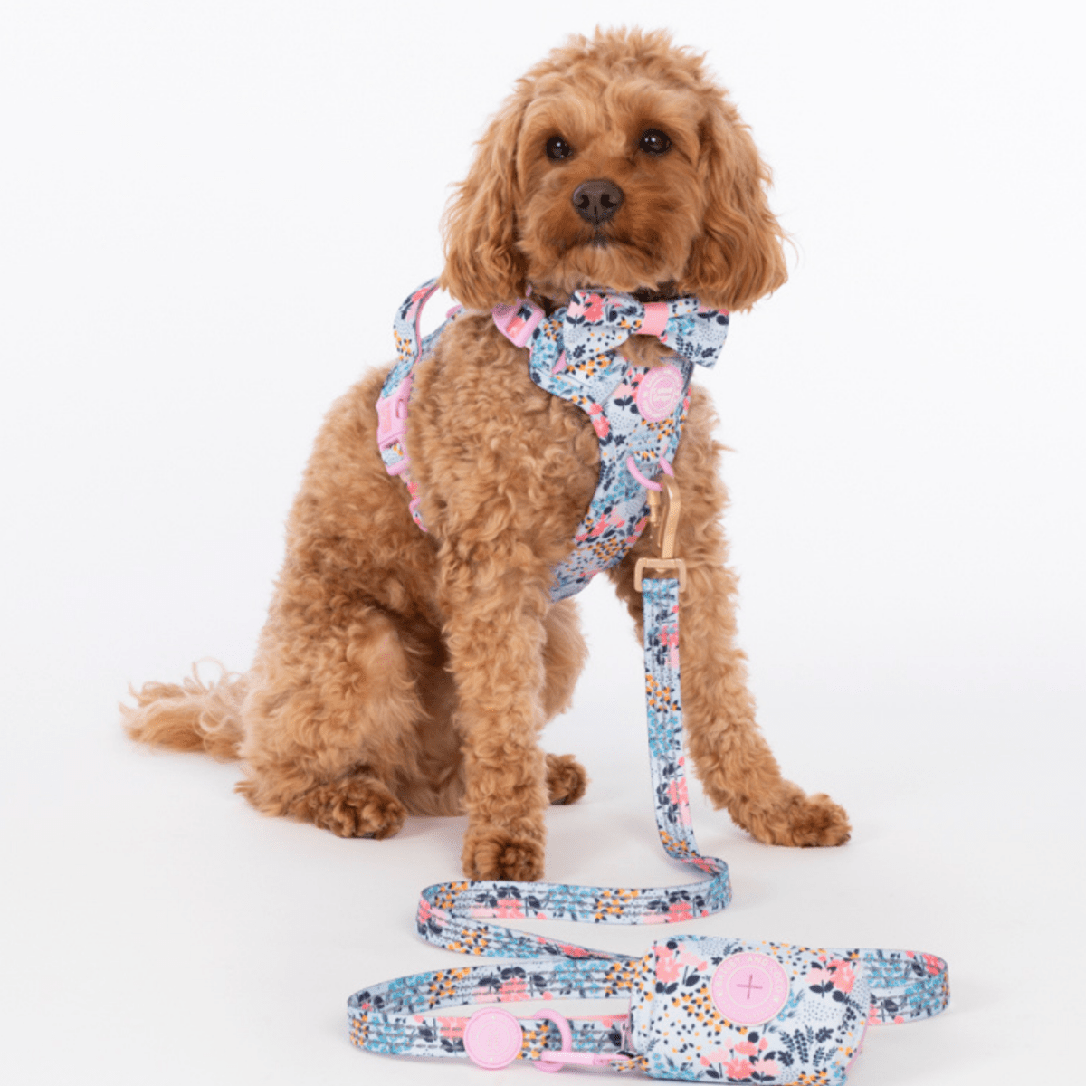 Poo Bag Holder - Colour Drops - Spring Dreams
