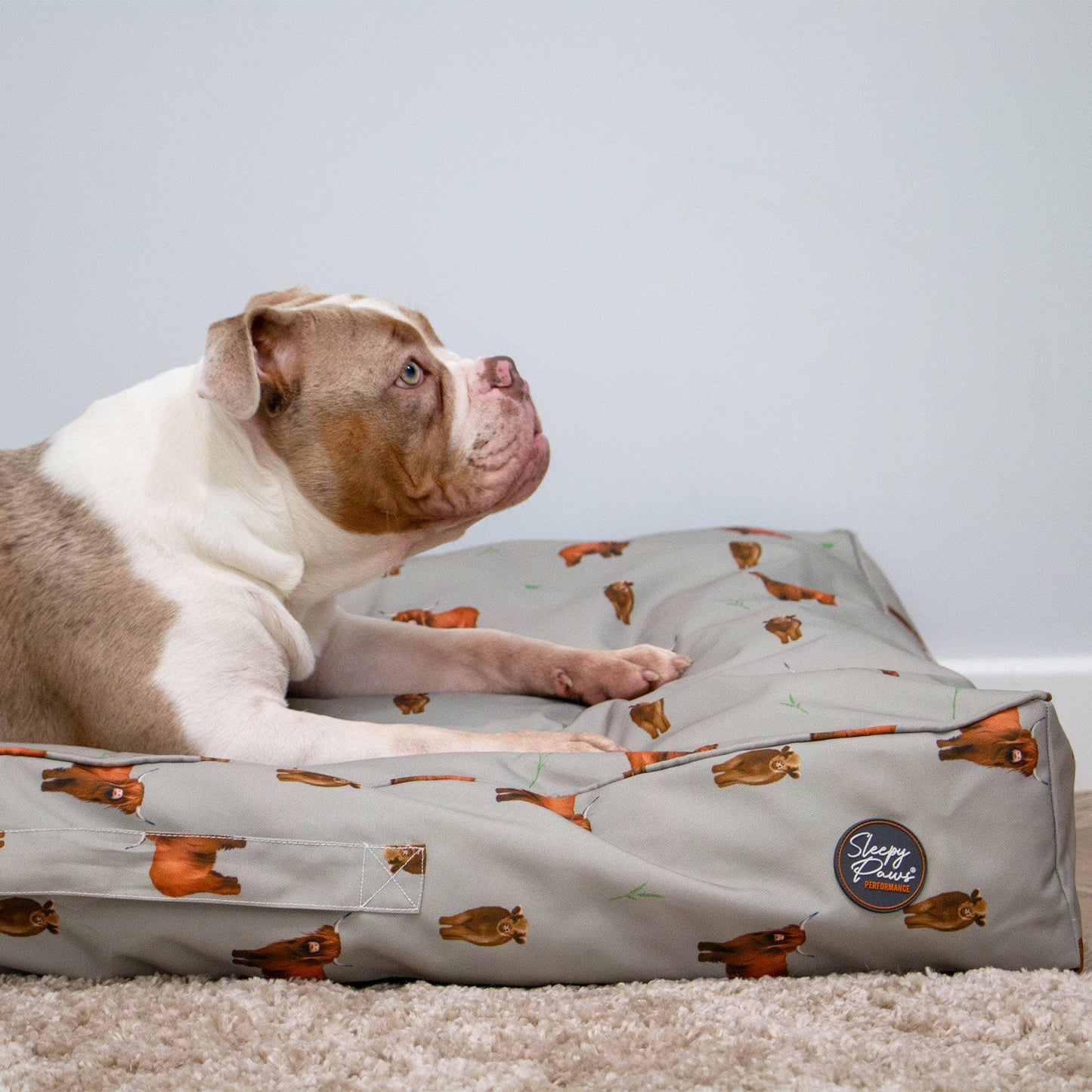 Highland Cow  Mattress 100 x 70 cm