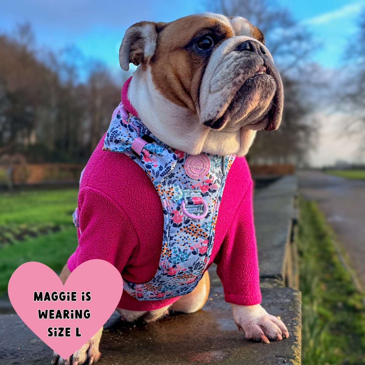 Floral Dog Harness - Colour Drops - Spring Dreams: XS