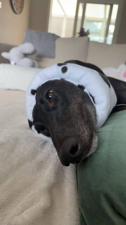 Cow print Hush Muff: Large