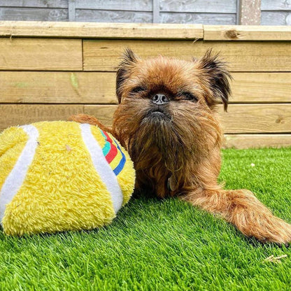 WufWuf Wimballdog Huge Tennis Ball Squeaky Plush Dog Toy