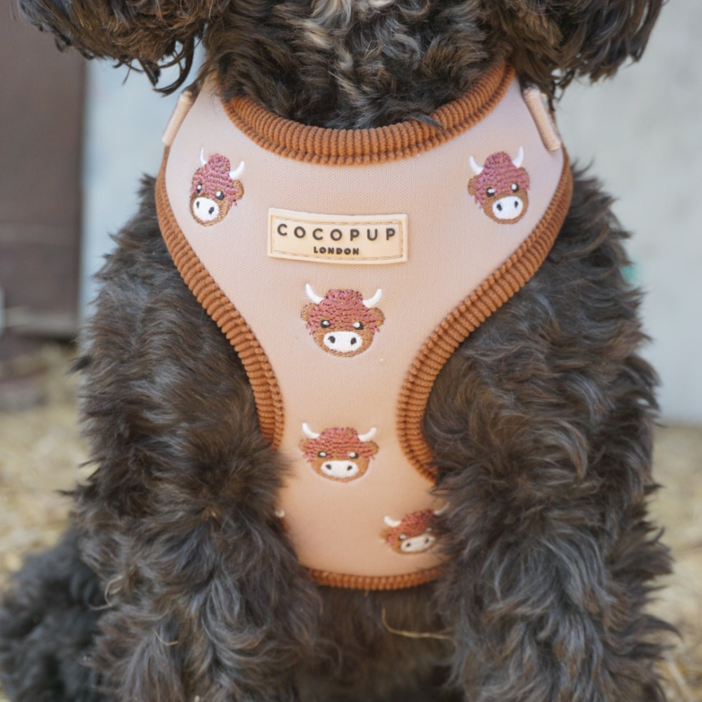 Harold the Highland Cow Adjustable Neck HARNESS: XXS