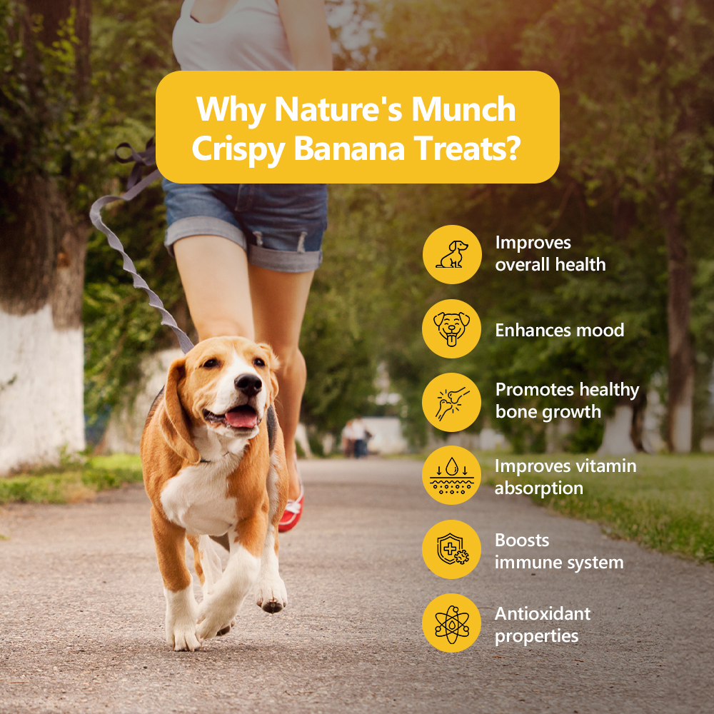 Pawfect Nature's Munch Freeze Dried Crispy Banana Treats