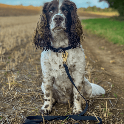 Waterproof Dog Lead - Colour Drops - Jet Black