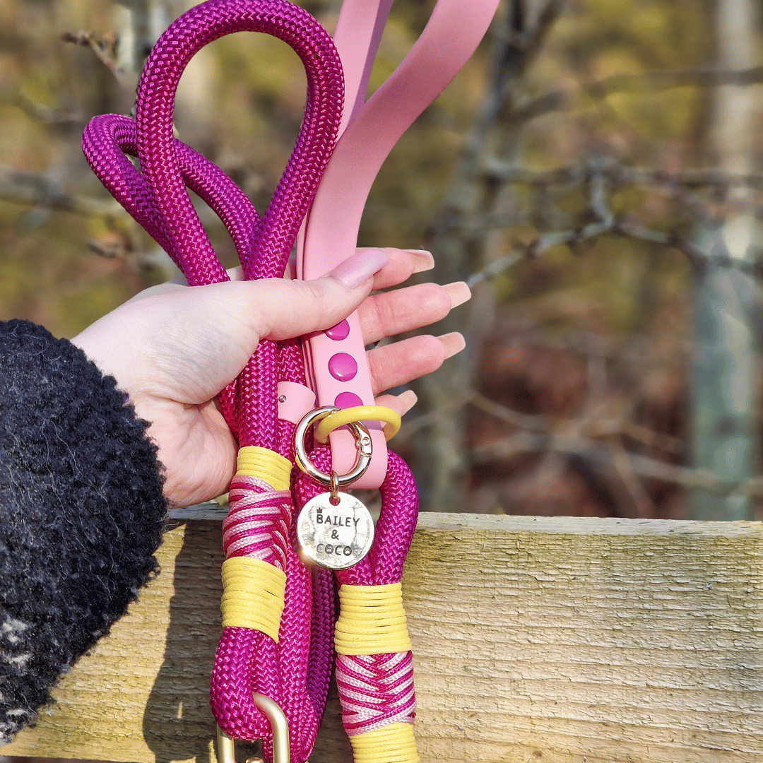 Rope Dog Lead COLOUR DROPS® - We're Jammin'