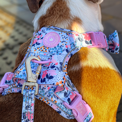 Floral Dog Harness - Colour Drops - Spring Dreams: XS