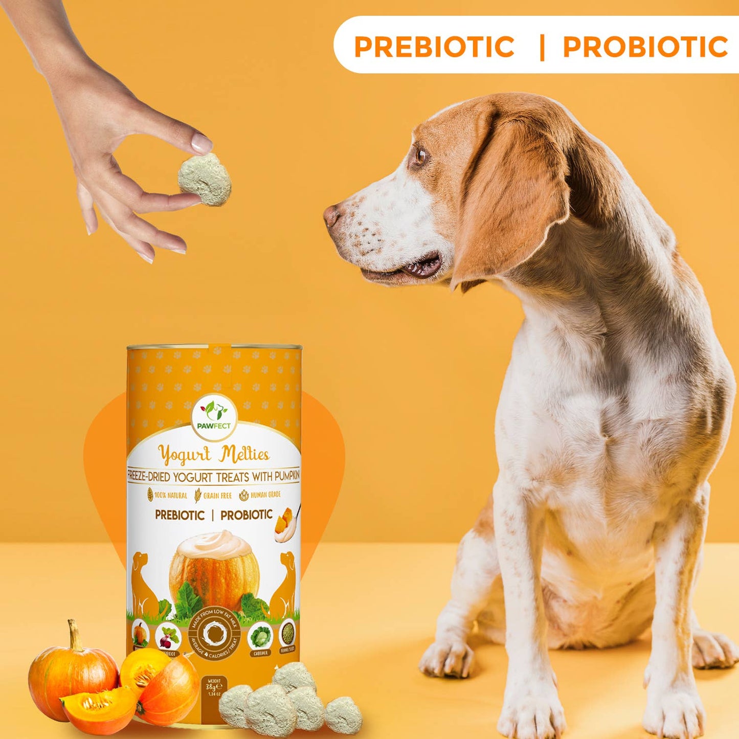 Prebiotic and Probiotic Dog Treats: Pumpkin & Yogurt