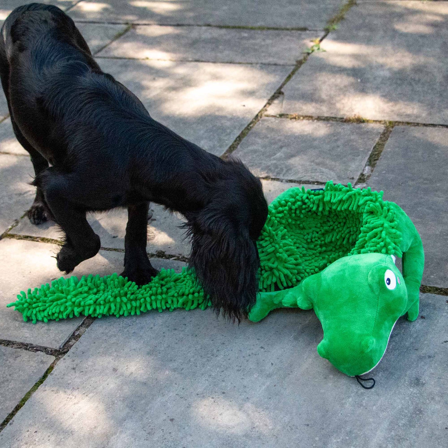 Örva Snuffle Croc Rollable Mat