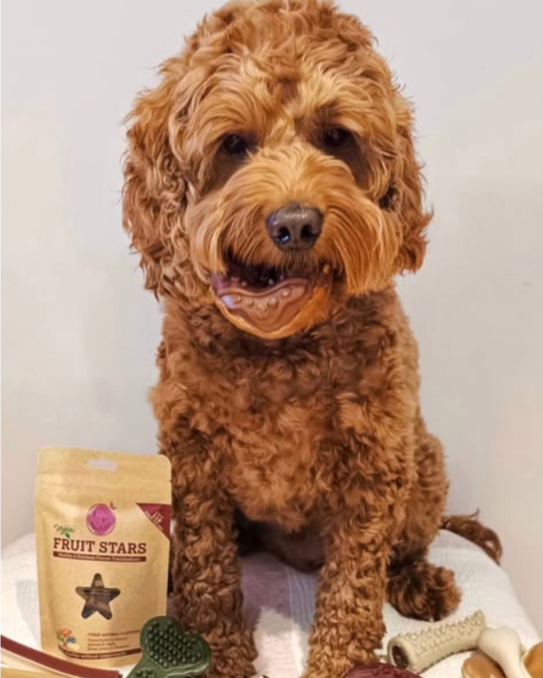 "NEW"  Maks'Patch Doggy Donuts