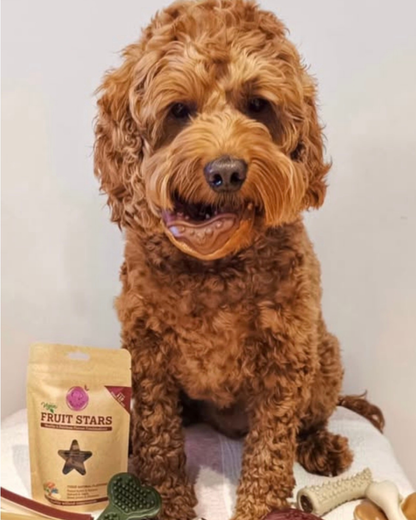 "NEW"  Maks'Patch Doggy Donuts