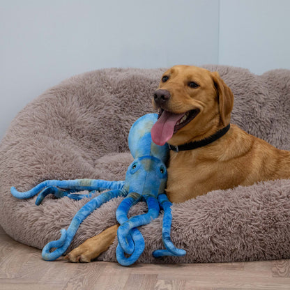 Playtime For Dogs Supersized Cuddle Toy  Phil The Kraken