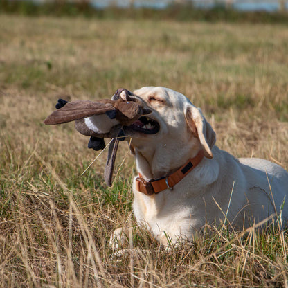Heritage Dog Toy Barnaby Bat Midi