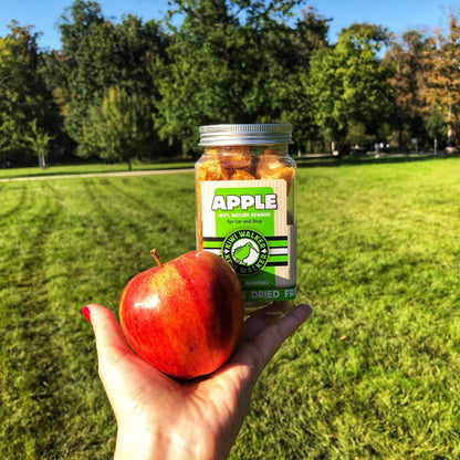 KIWI Walker DOG Treats - Freeze Dried Fruit: Banana