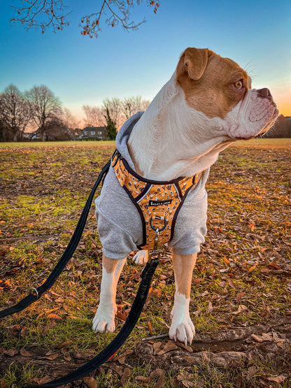 Trail & Glow® Dog Harness - Wanna-Bee: XS