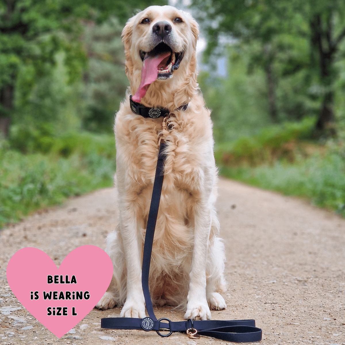 Waterproof Dog Lead - Colour Drops - Jet Black