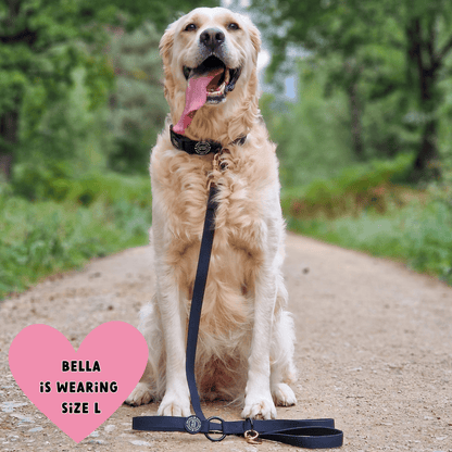 Waterproof Dog Lead - Colour Drops - Jet Black