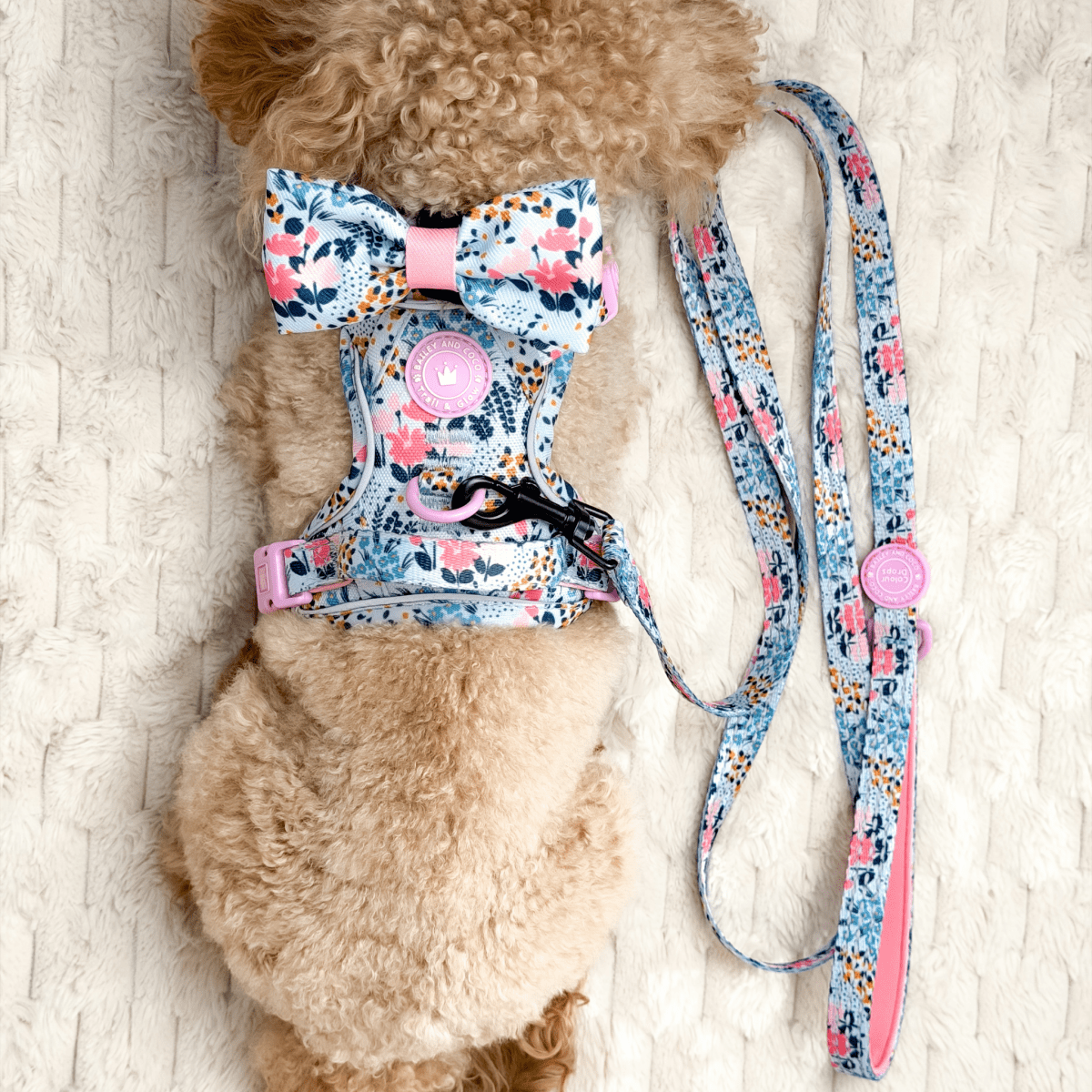 Floral Dog Harness - Colour Drops - Spring Dreams: XS