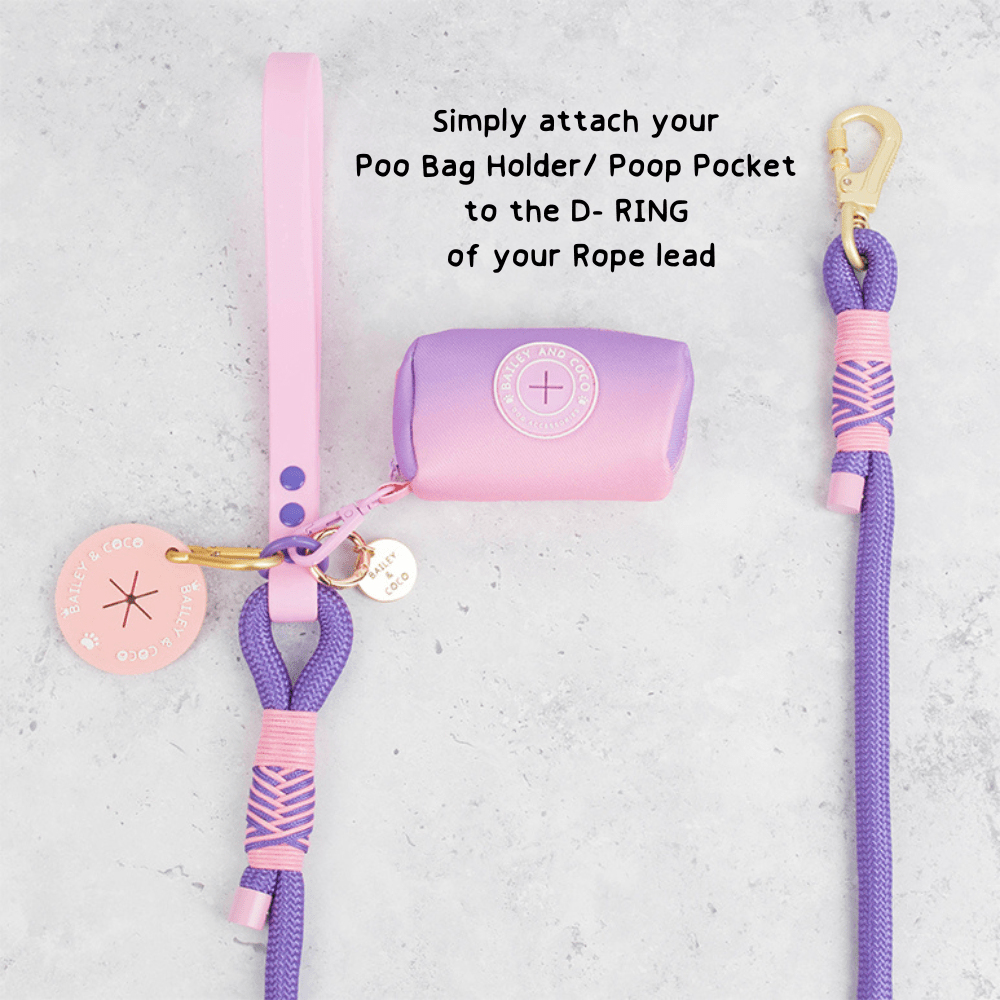 Rope Dog Lead COLOUR DROPS® - Love that for you