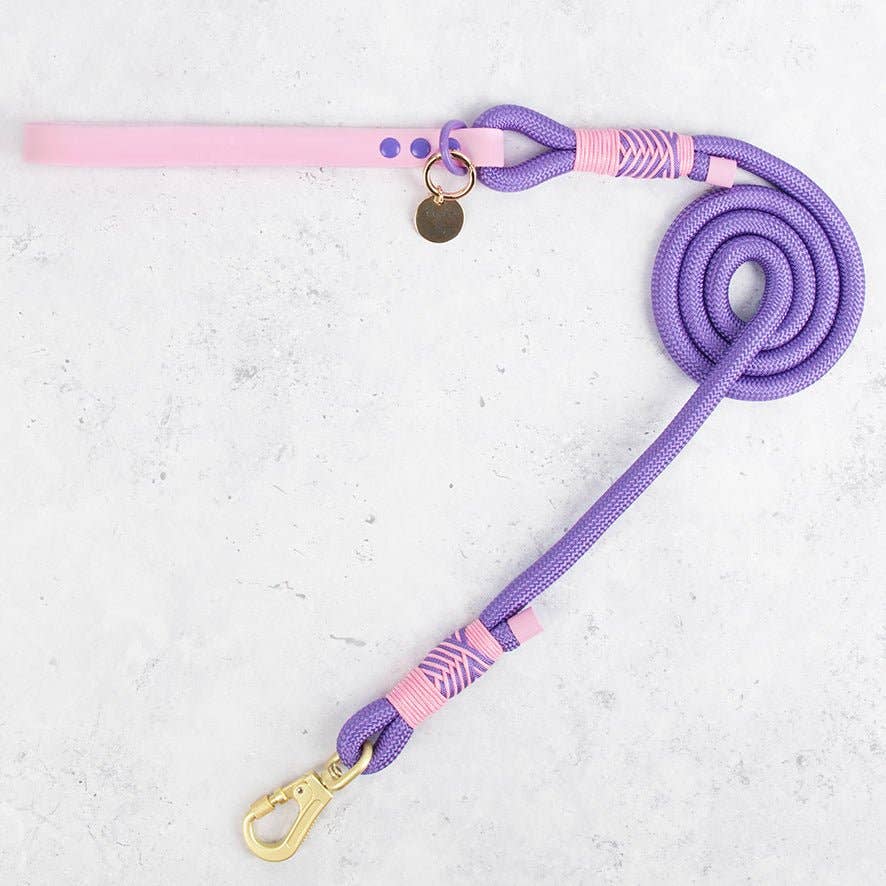 Rope Dog Lead COLOUR DROPS® - Love that for you