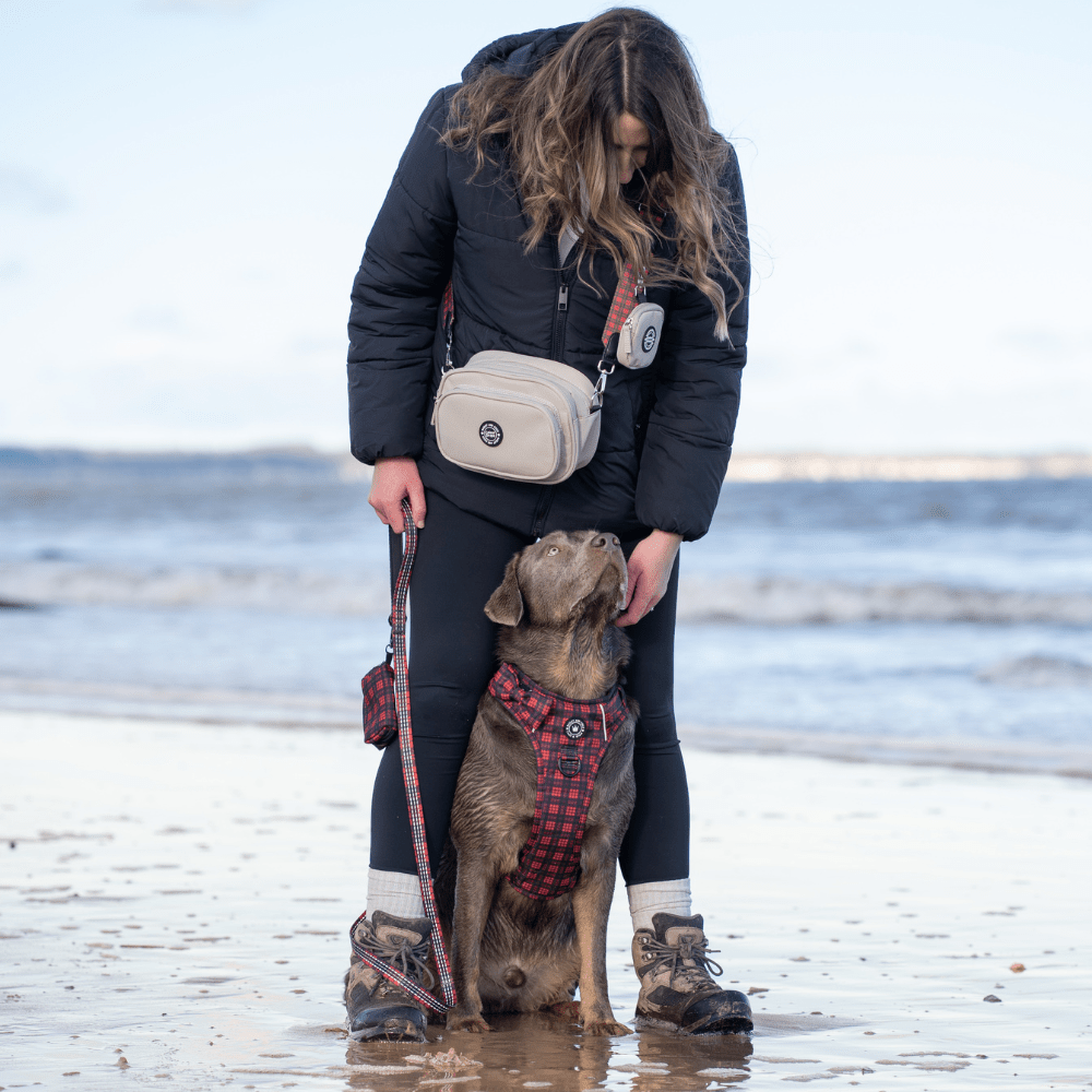 Trail & Glow® Dog Harness - The Red Tartan One: L