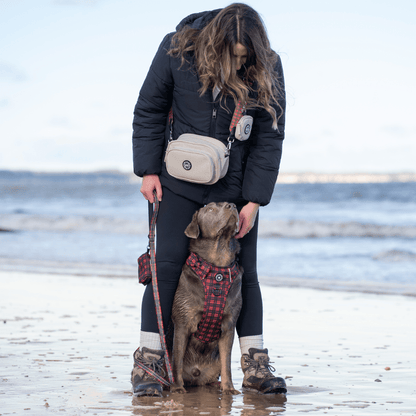 Trail & Glow® Dog Harness - The Red Tartan One: L