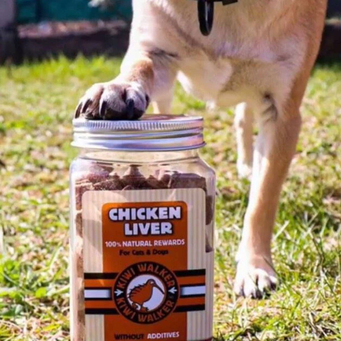 KIWI Walker Dog Treats Freeze Dried Meat & Chicken : Duck 80g