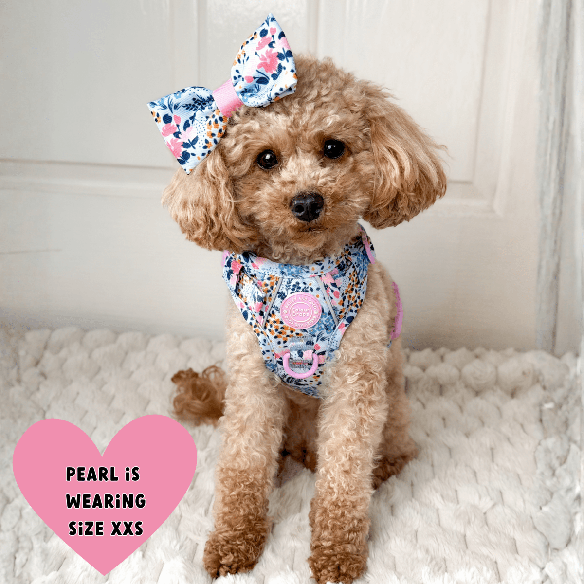 Floral Dog Harness - Colour Drops - Spring Dreams: XS