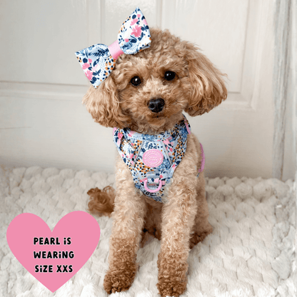 Floral Dog Harness - Colour Drops - Spring Dreams: XS