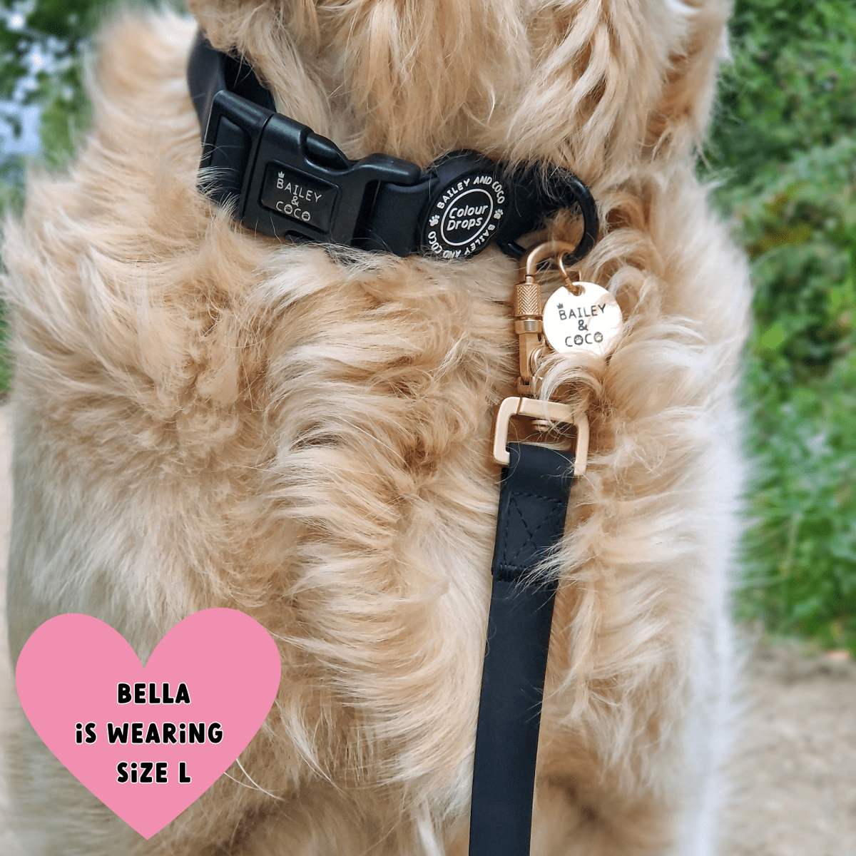 Waterproof Dog Lead - Colour Drops - Jet Black