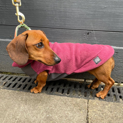 Dachshund Fleece Jumper with Waterproof Belly Panel: Ruby Red / Large