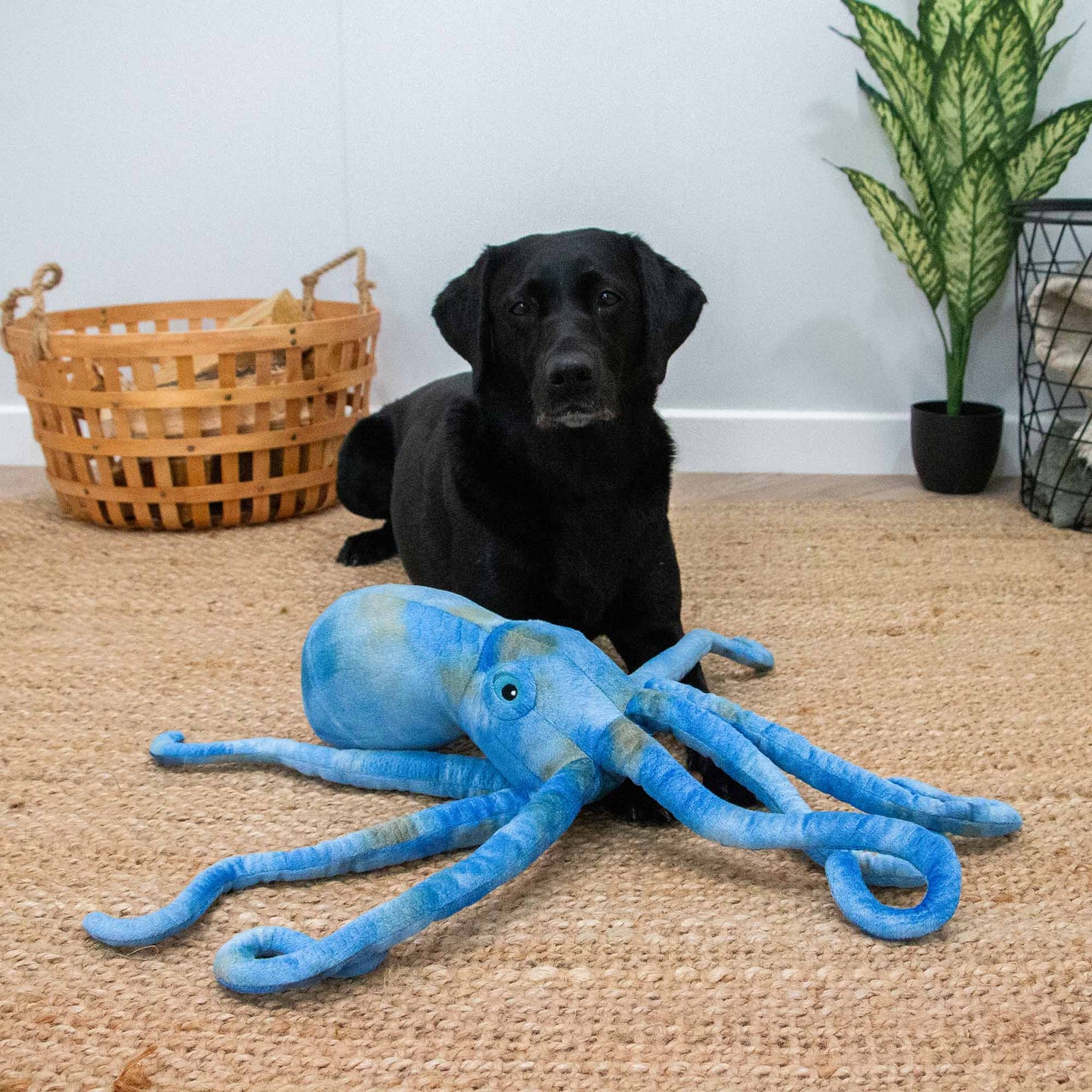Playtime For Dogs Supersized Cuddle Toy  Phil The Kraken