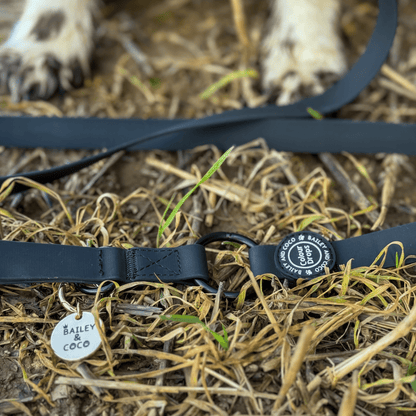 Waterproof Dog Lead - Colour Drops - Jet Black