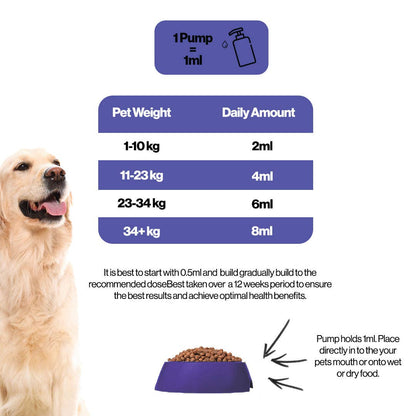 Seniors Hemp Oil For Pets.
