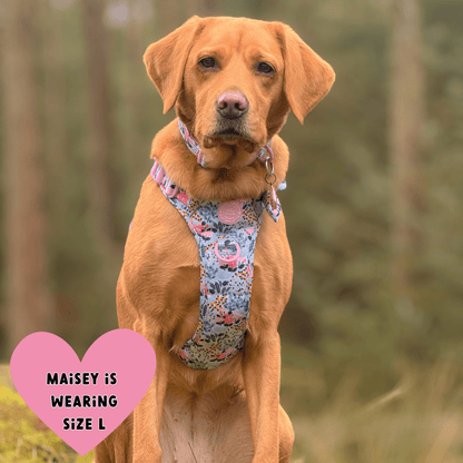 Floral Dog Harness - Colour Drops - Spring Dreams: XS