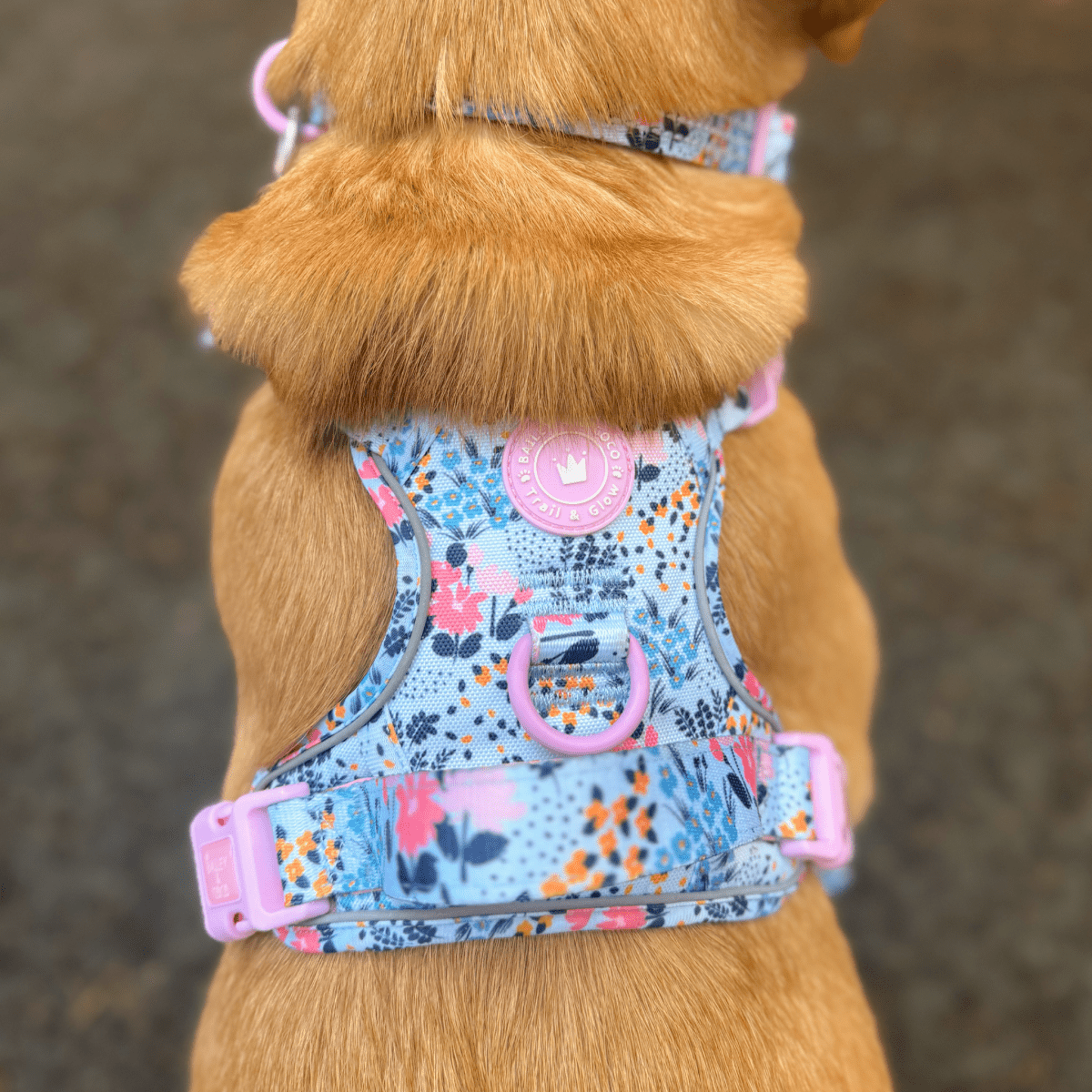 Floral Dog Harness - Colour Drops - Spring Dreams: XS