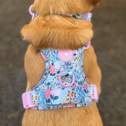 Floral Dog Harness - Colour Drops - Spring Dreams: XS