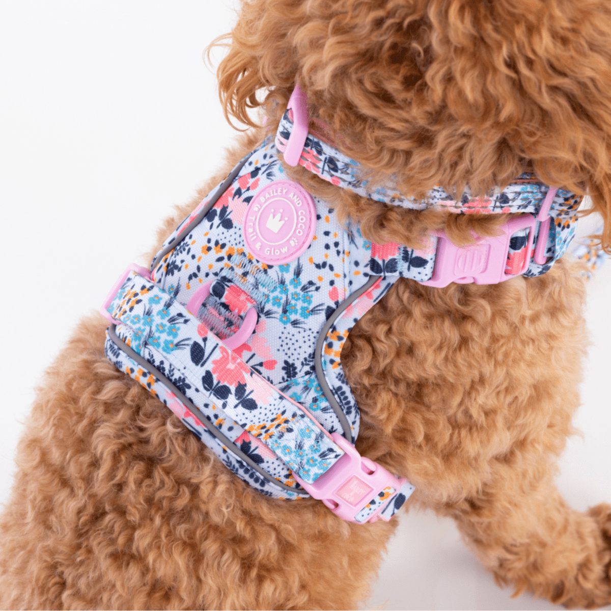 Floral Dog Harness - Colour Drops - Spring Dreams: XS