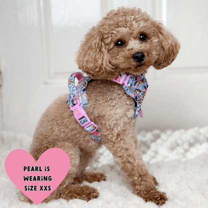 Floral Dog Harness - Colour Drops - Spring Dreams: XS