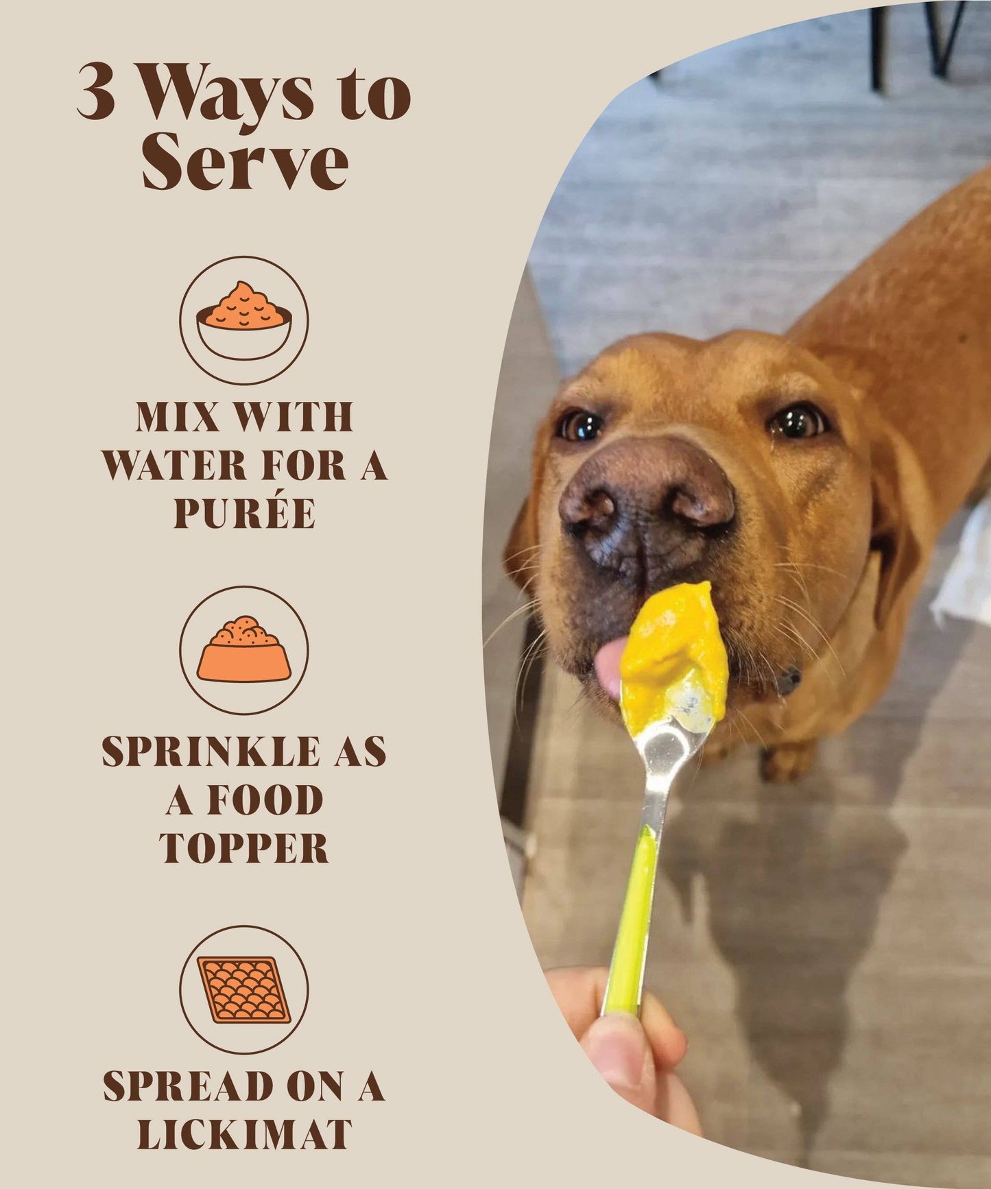 Pumpkin Powder For Dogs | Canned Pumpkin Purée Alternative |