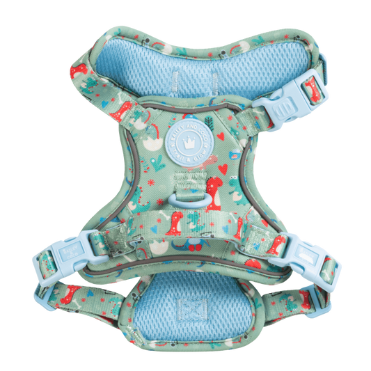 Dinosaur Dog Harness – Dino Party Reflective No-Pull: S