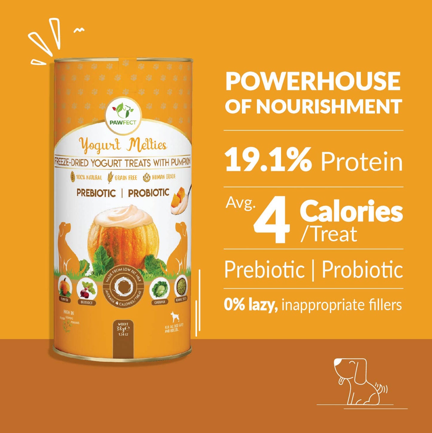 Prebiotic and Probiotic Dog Treats: Pumpkin & Yogurt